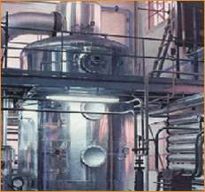 Cooking Oil Refinery